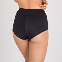 ap0066g-
